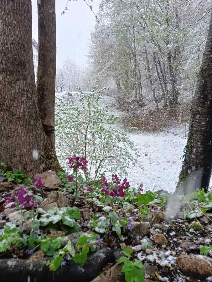 Plitvice Oaza Mira Villa Smoljanac Esterno foto